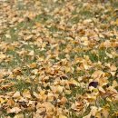 황두채콩나물국밥 이미지