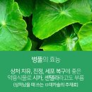 재건약국 이미지