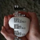 앙금 이미지