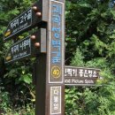 지곡리 등산로 네이버블로그