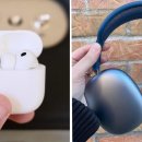 Top Dog PC 이미지