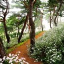 곡성군 산림과 이미지