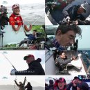 도시어부 이미지