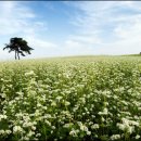 너울농장 이미지