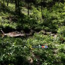 매봉산 농장 이미지