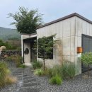 수수다올 이미지