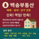 백송태양광 이미지