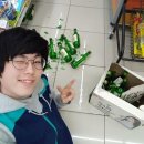본할머니보쌈 이미지