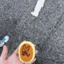 세그루매점 이미지