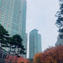 용산-이촌-176 이미지