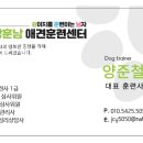 아산 반려견 교육센터 이미지