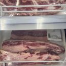 다은민박 | (남미여행/아르헨티나) 엘 칼라파테 모레노 빙하 버스투어 후기