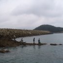 천리포항 이미지