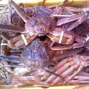 거성수산 이미지