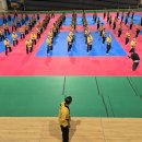 국가태권도 이미지