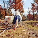 경주시립도서관 화장실 이미지