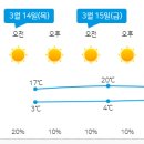 비즈빔 돔 버킷햇 그레이 내돈내산 후기 &amp; 사이즈 리뷰!!! (명품 버킷햇 추천)