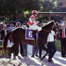 포레스트 G2 이미지