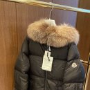 마로니에르 이미지