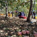 서후면 행정복지센터 이미지