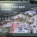 보다더캠핑 | 전북 고창 보다더 캠핑장 D1 사이트 후기