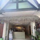 마마코코 | 보라카이 디저트 맛집 코코마마 위치와 후기