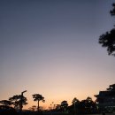 산업단지8길(풍산읍) | '26.2월#1｜권태기를 뚫고 나온 '포토덤프' (Feat. 안동 생존기)