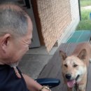 차암동물병원 이미지