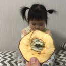 대미농장 이미지