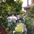 푸른산농장 이미지