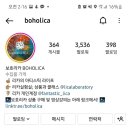 보호리카 이미지