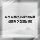 부산상가나라부동산중개 | 부산 부동산 포레스트부동산중개 거짓없는 곳!