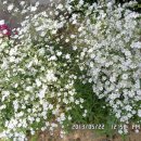 선산대로-10 이미지