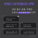펄미에이트 - 서초구 강남대로51길 10 | 펄미에이트
