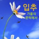 2025년 입추에 드리는 글 이미지