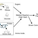 마이야르 이미지