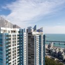 테넌바움294 이미지