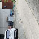 비에이치씨(BHC)부산대밀양캠퍼스점 | 부산대 밀캠 후기 및 밀양 맛집 리스트와 자취방 후기