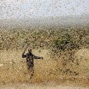 글로벌방제 - 남구 용연로 295-109 | 글로벌방제