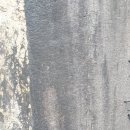 유성초교 이미지