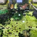 솔루나안경원 이미지