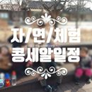 콩세알어린이집 이미지