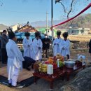 남원 진기리 느티나무 이미지