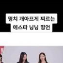 스타복싱클럽 이미지