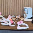정선생영어특과학원