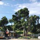 후정3리정류장 이미지