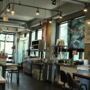 곤드레향 이미지