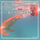 보홀 스노클링 발리카삭 호핑투어 로컬페이지 추천 후기