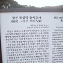 팔심 이미지