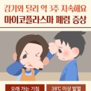 폐렴 증상 원인 치료 마이코플라즈마 폐렴 초기 증상 자가 진단 이미지